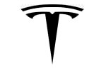 TESLA car covers